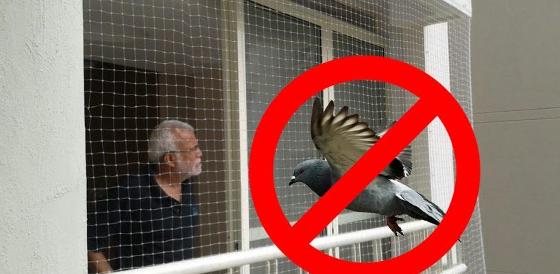 Pigeon Safety Nets In balanagar 